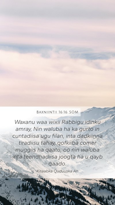 Baxniintii 16:16 SOM Bible Verse Image