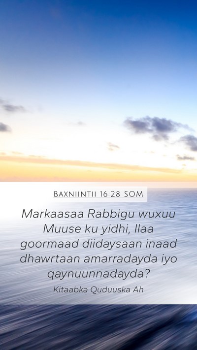 Baxniintii 16:28 SOM Bible Verse Image