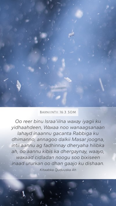 Baxniintii 16:3 SOM Bible Verse Image