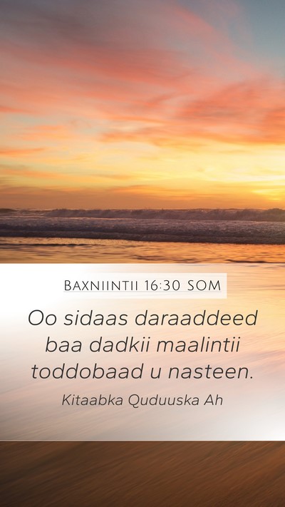 Baxniintii 16:30 SOM Mobile Phone Wallpaper - Oo sidaas daraaddeed baa dadkii maalintii - Mobile Bible Verse Wallpaper