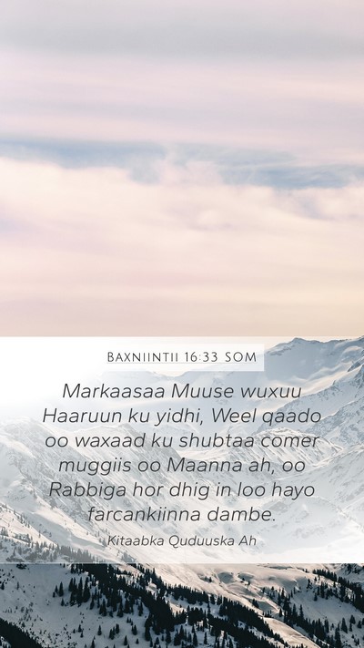 Baxniintii 16:33 SOM Bible Verse Image