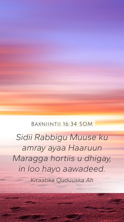 Baxniintii 16:34 SOM Bible Verse Image
