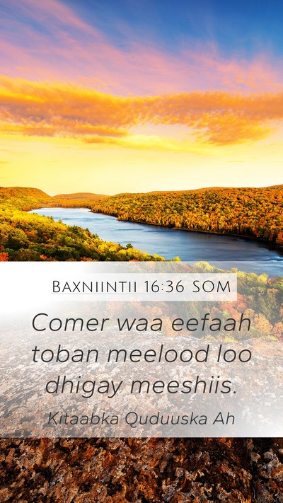 Baxniintii 16:36 SOM Bible Verse Image