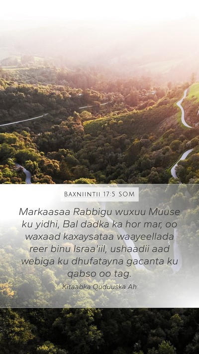 Baxniintii 17:5 SOM Bible Verse Image