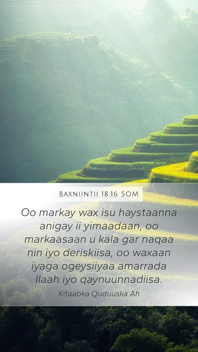 Baxniintii 18:16 SOM Bible Verse Image