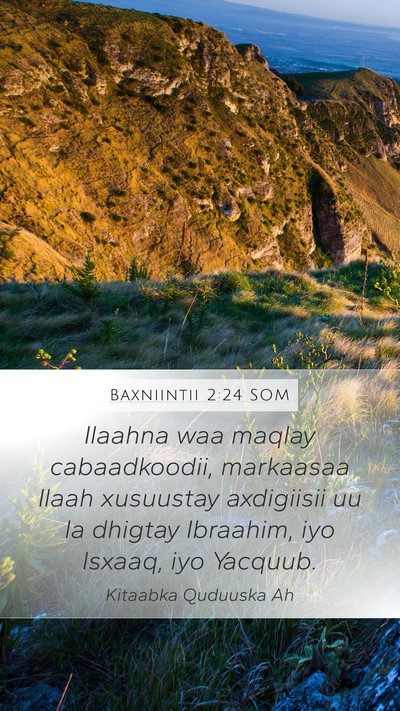 Baxniintii 2:24 SOM Bible Verse Image