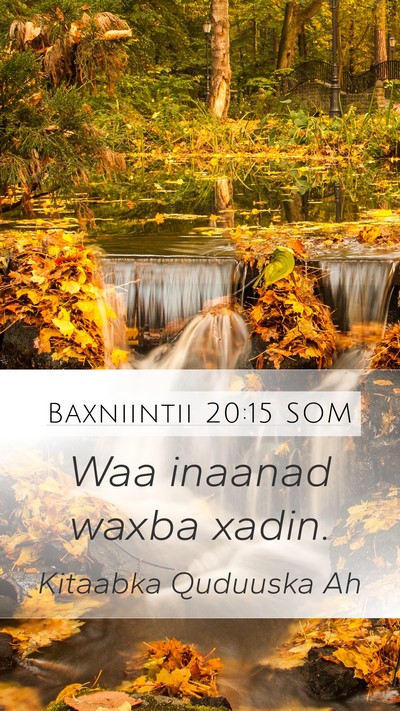 Baxniintii 20:15 SOM Bible Verse Image