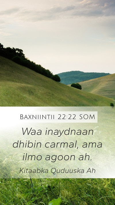 Baxniintii 22:22 SOM Bible Verse Image