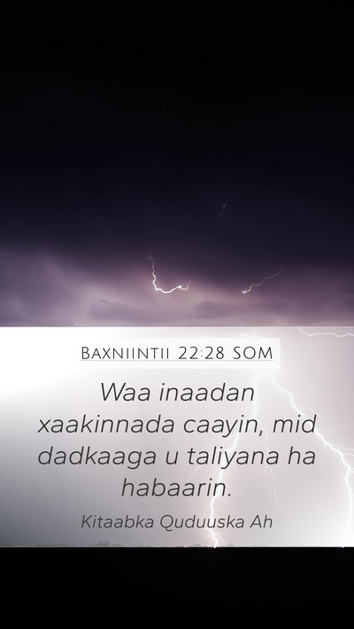 Baxniintii 22:28 SOM Bible Verse Image