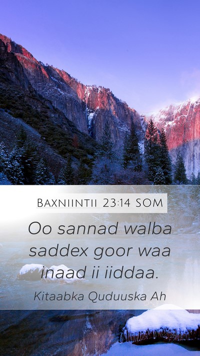 Baxniintii 23:14 SOM Bible Verse Image