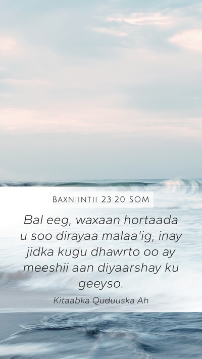 Baxniintii 23:20 SOM Bible Verse Image