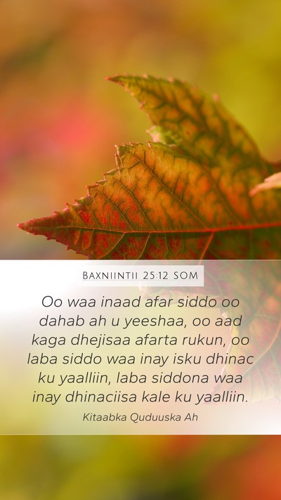 Baxniintii 25:12 SOM Bible Verse Image