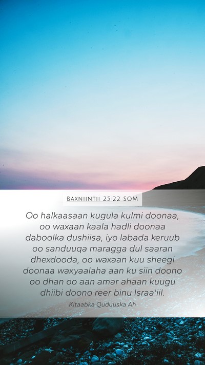 Baxniintii 25:22 SOM Bible Verse Image