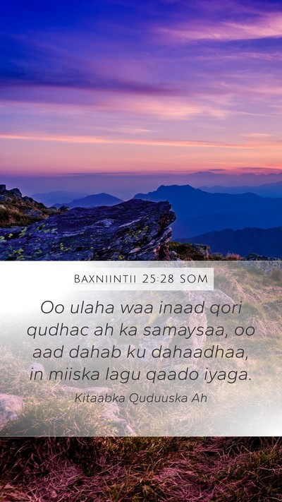 Baxniintii 25:28 SOM Bible Verse Image