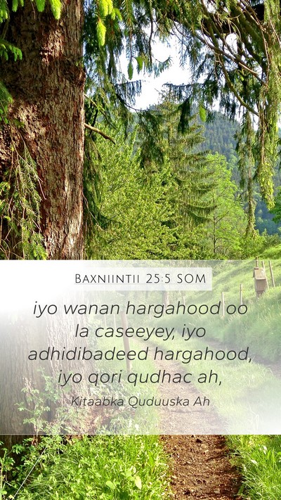 Baxniintii 25:5 SOM Bible Verse Image