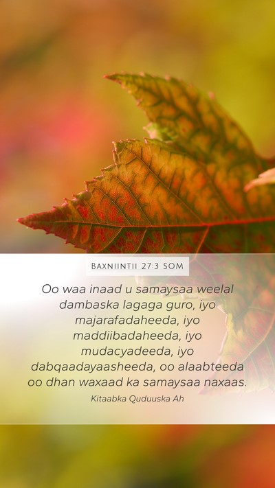 Baxniintii 27:3 SOM Bible Verse Image