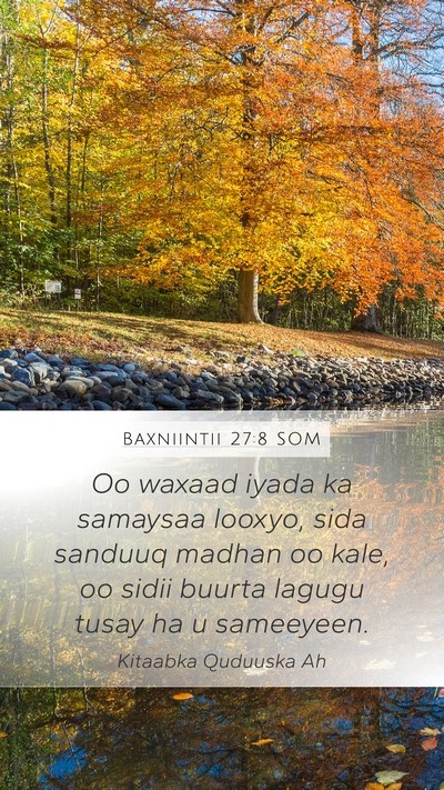 Baxniintii 27:8 SOM Mobile Phone Wallpaper - Oo waxaad iyada ka samaysaa looxyo, sida sanduuq - Mobile Bible Verse Wallpaper