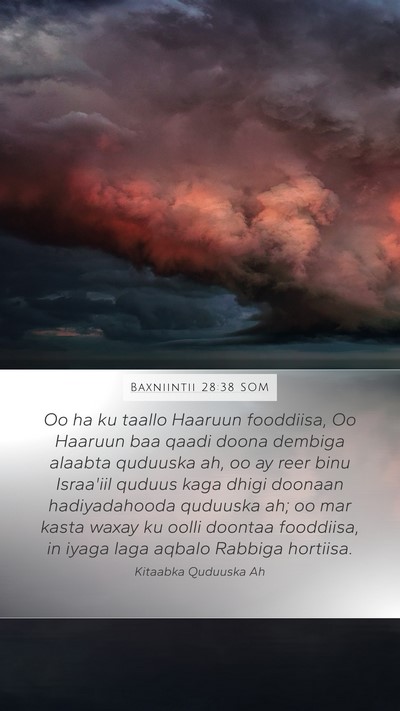 Baxniintii 28:38 SOM Bible Verse Image
