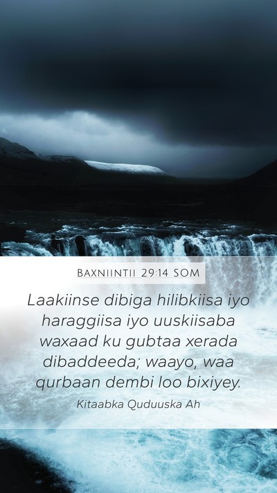 Baxniintii 29:14 SOM Bible Verse Image
