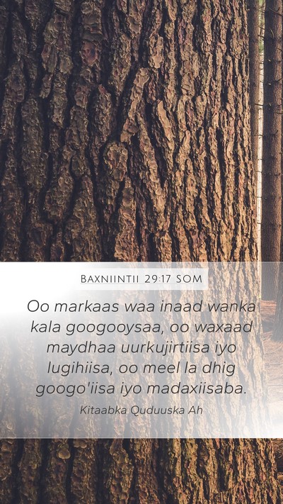 Baxniintii 29:17 SOM Bible Verse Image