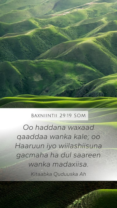 Baxniintii 29:19 SOM Bible Verse Image
