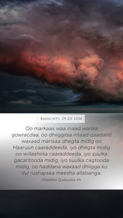 Baxniintii 29:20 SOM Bible Verse Image
