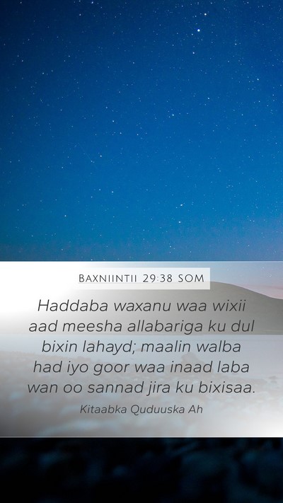 Baxniintii 29:38 SOM Bible Verse Image