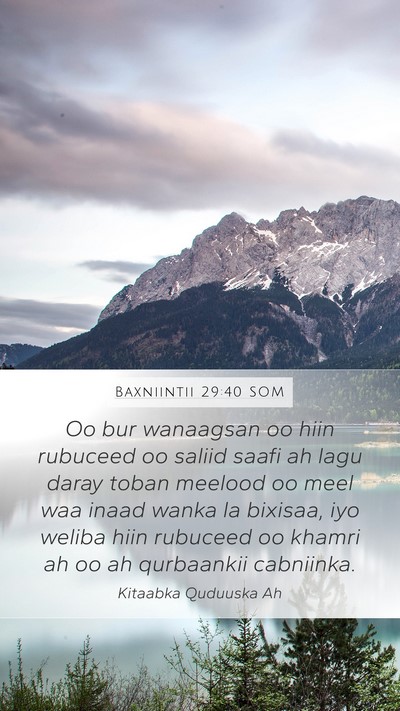 Baxniintii 29:40 SOM Bible Verse Image