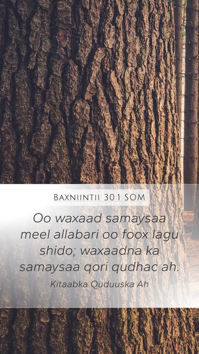 Baxniintii 30:1 SOM Bible Verse Image