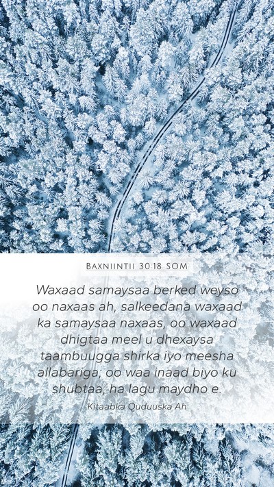 Baxniintii 30:18 SOM Bible Verse Image
