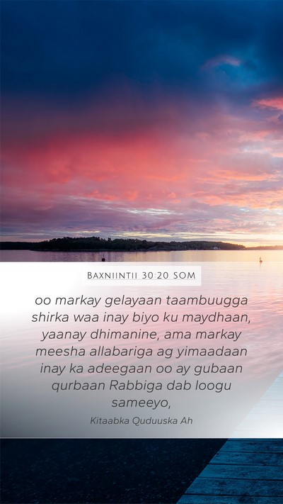 Baxniintii 30:20 SOM Bible Verse Image