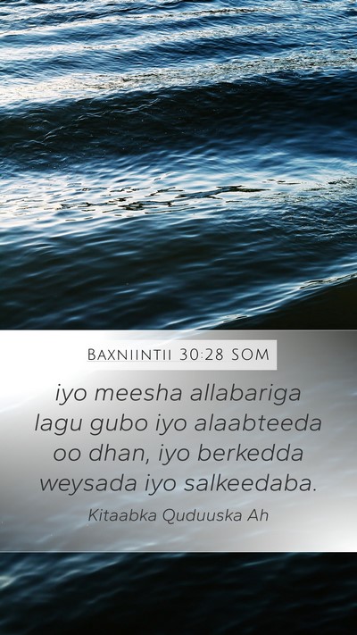 Baxniintii 30:28 SOM Bible Verse Image