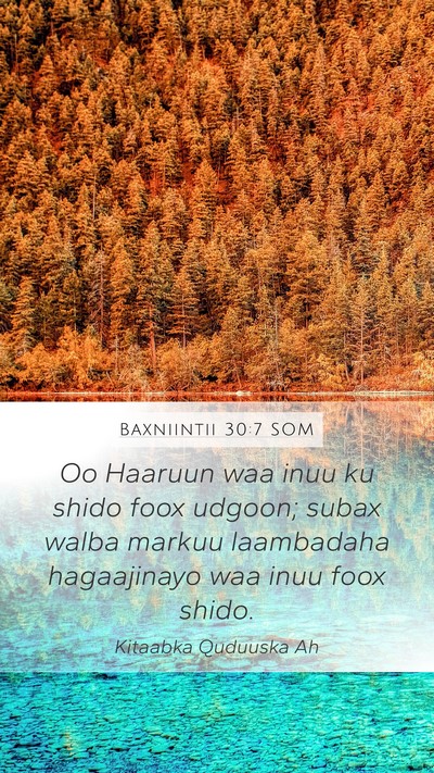 Baxniintii 30:7 SOM Bible Verse Image