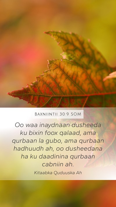 Baxniintii 30:9 SOM Bible Verse Image