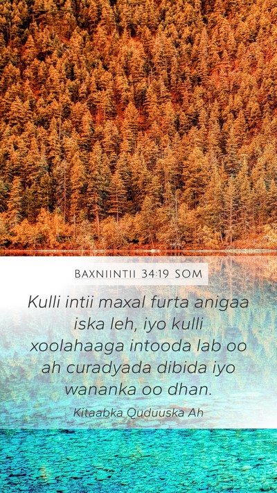 Baxniintii 34:19 SOM Bible Verse Image