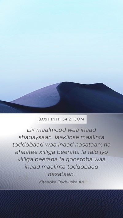 Baxniintii 34:21 SOM Bible Verse Image