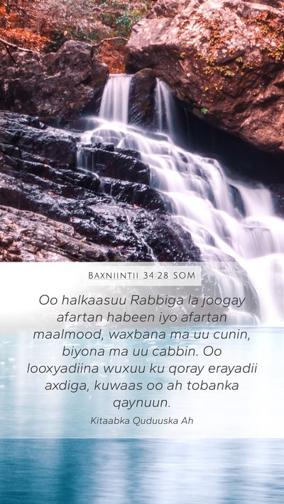 Baxniintii 34:28 SOM Bible Verse Image