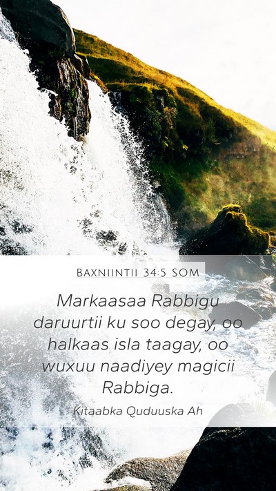 Baxniintii 34:5 SOM Bible Verse Image
