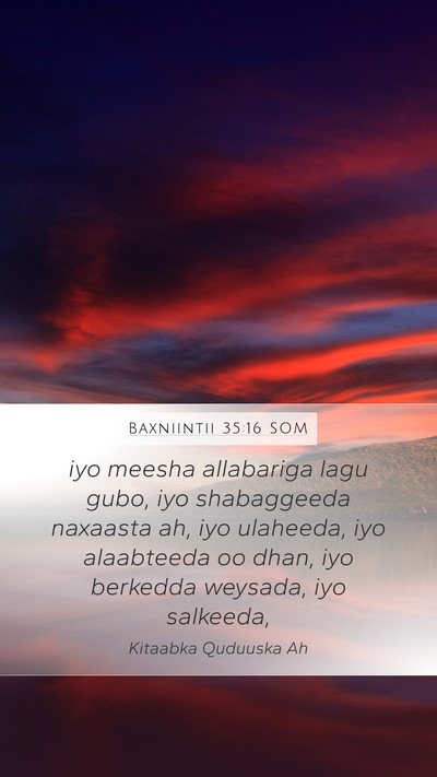 Baxniintii 35:16 SOM Bible Verse Image
