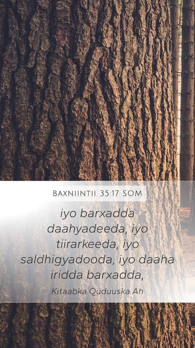 Baxniintii 35:17 SOM Mobile Phone Wallpaper - iyo barxadda daahyadeeda, iyo tiirarkeeda, iyo - Mobile Bible Verse Wallpaper