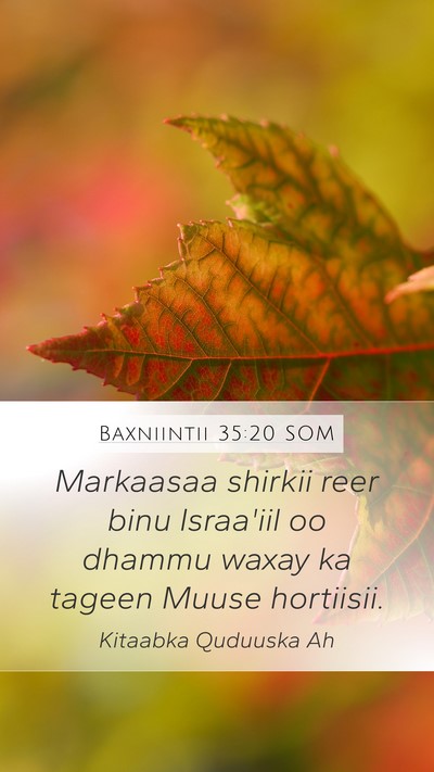 Baxniintii 35:20 SOM Mobile Phone Wallpaper - Markaasaa shirkii reer binu Israa'iil oo dhammu - Mobile Bible Verse Wallpaper