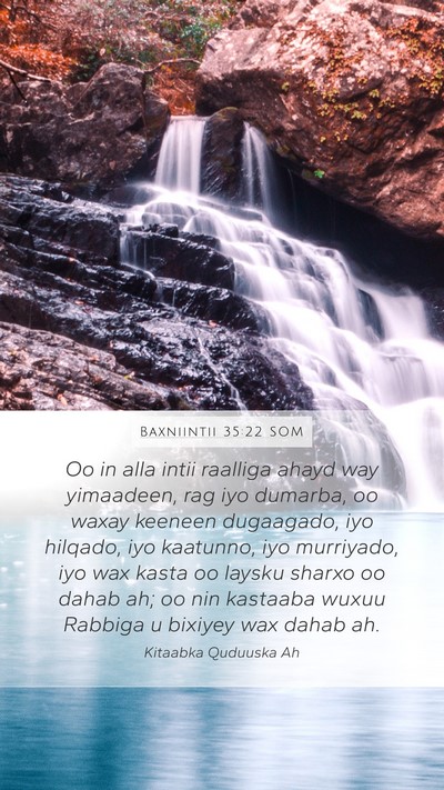 Baxniintii 35:22 SOM Bible Verse Image
