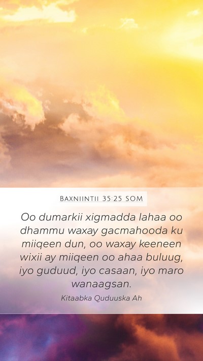Baxniintii 35:25 SOM Bible Verse Image