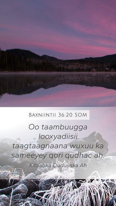 Baxniintii 36:20 SOM Bible Verse Image