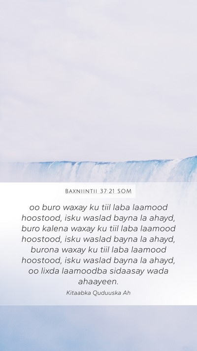Baxniintii 37:21 SOM Mobile Phone Wallpaper - oo buro waxay ku tiil laba laamood hoostood, isku - Mobile Bible Verse Wallpaper