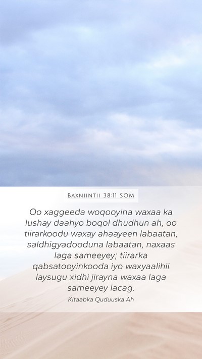 Baxniintii 38:11 SOM Mobile Phone Wallpaper - Oo xaggeeda woqooyina waxaa ka lushay daahyo - Mobile Bible Verse Wallpaper