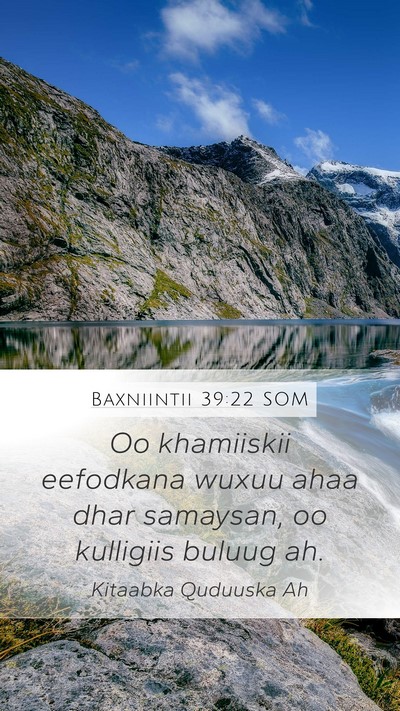 Baxniintii 39:22 SOM Bible Verse Image