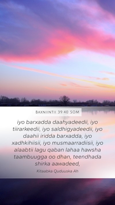 Baxniintii 39:40 SOM Bible Verse Image
