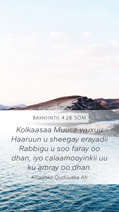 Baxniintii 4:28 SOM Mobile Phone Wallpaper - Kolkaasaa Muuse wuxuu Haaruun u sheegay erayadii - Mobile Bible Verse Wallpaper