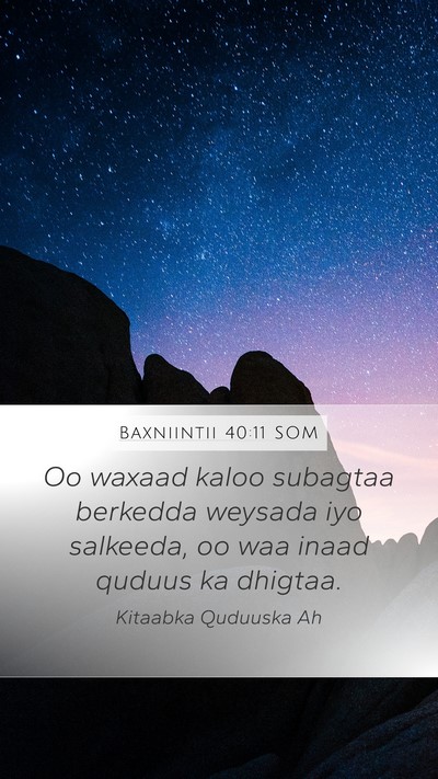 Baxniintii 40:11 SOM Bible Verse Image